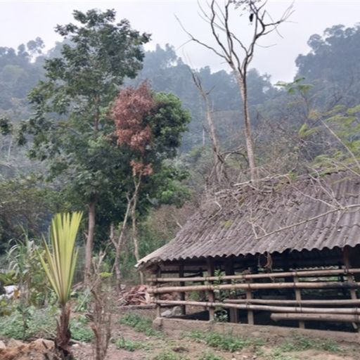 Ep8981: Tin trong nước - Thái Nguyên: Nâng cao hiệu quả Quỹ hỗ trợ nông dân cover