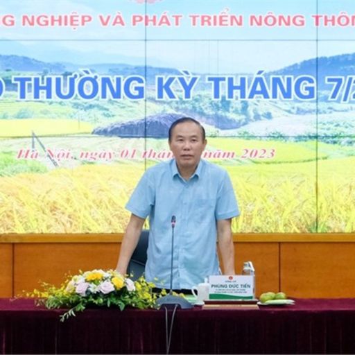 Ep9142: Tin trong nước - Tăng cường xuất khẩu gạo không ảnh hưởng đến nguồn cung tiêu dùng và xuất khẩu cover