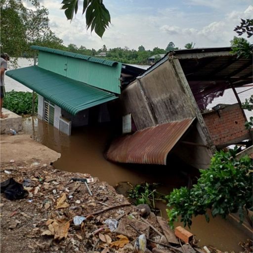 Ep9159: Tiêu điểm - Tiền Giang: Sạt lở tiếp diễn, một cơ sở sản xuất sụp xuống dòng nước cover