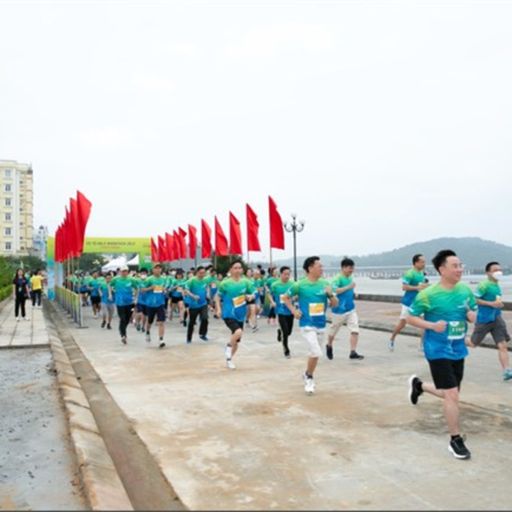 Ep9295: Tin trong nước - Giải chạy Cô Tô Marathon 2023 " Dấu ấn đảo xanh" cover