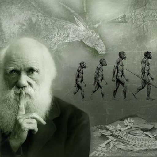 Ep9367: Tin quốc tế - Hành trình tiếp bước Charles Darwin bảo tồn thiên nhiên cover