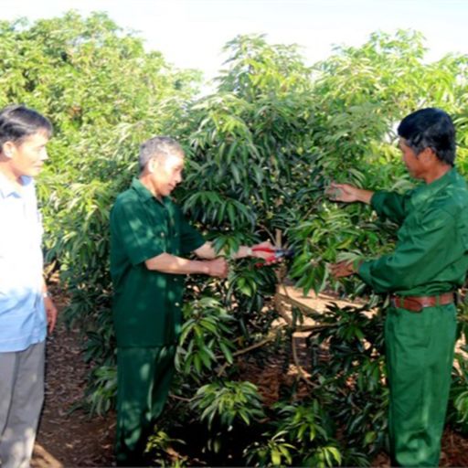 Ep9393: Tin trong nước - Phát huy vai trò gương mẫu của cựu chiến binh trong giáo dục truyền thống cho thế hệ trẻ cover