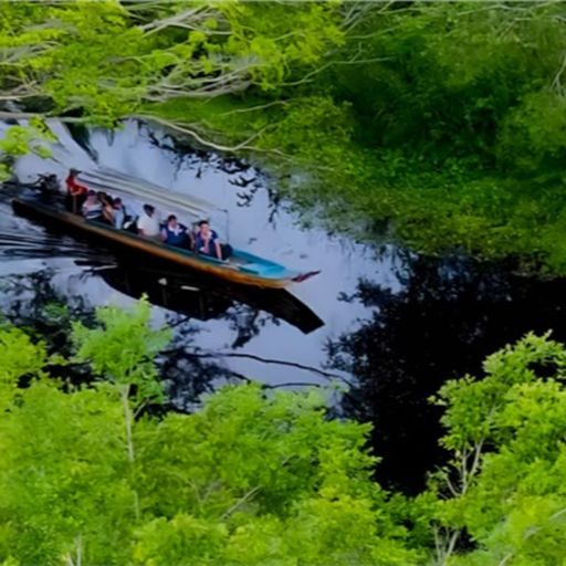 Ep9524: Tin trong nước - Vườn Quốc gia U Minh Hạ: Đầu tư hướng nào để phát triển du lịch  cover