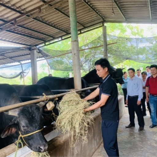 Ep9880: Tin trong nước - Đề ra các giải pháp sinh kế thích ứng với giảm thiểu rủi ro thiên tai vì cộng đồng cover