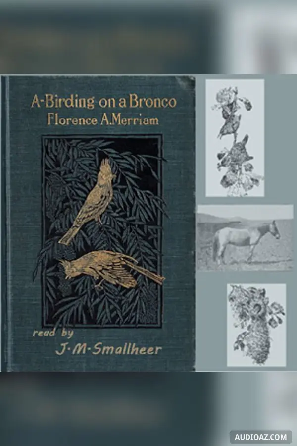 A-Birding on a Bronco