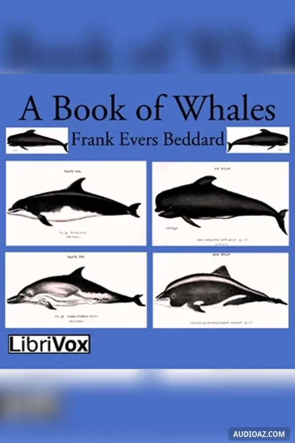 Book of Whales