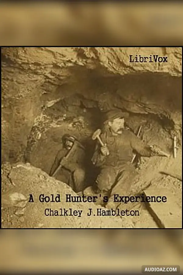 Gold Hunter's Experience