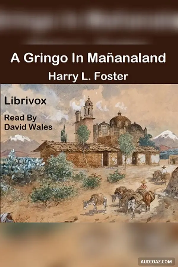 Gringo In Mañana-Land