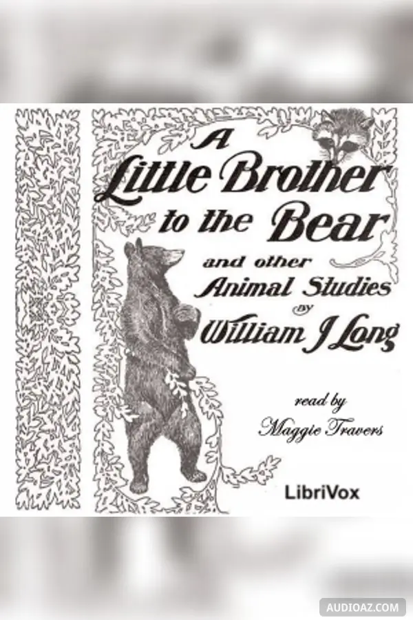 Little Brother to the Bear