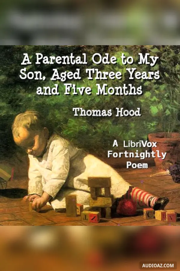 Parental Ode to My Son, Aged Three Years and Five Months