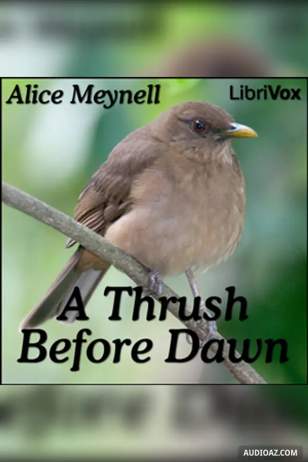 Thrush Before Dawn