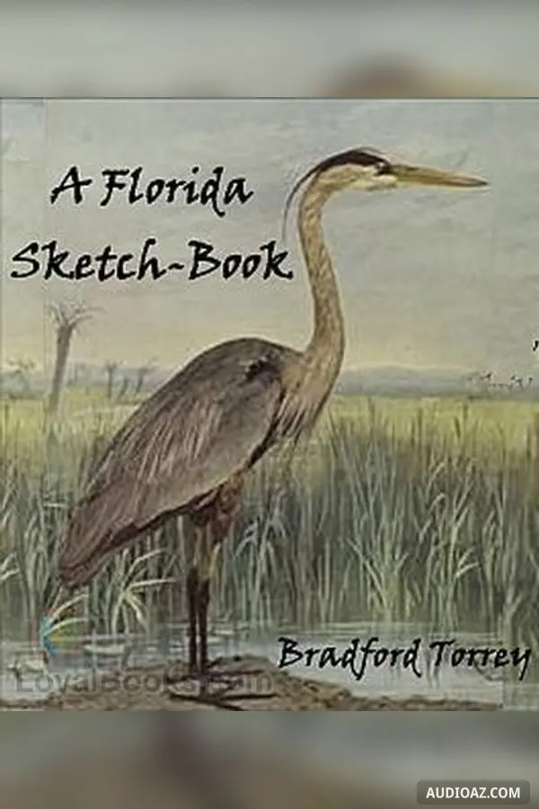 A Florida Sketch-Book