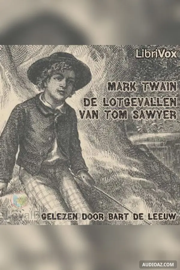 De Lotgevallen van Tom Sawyer