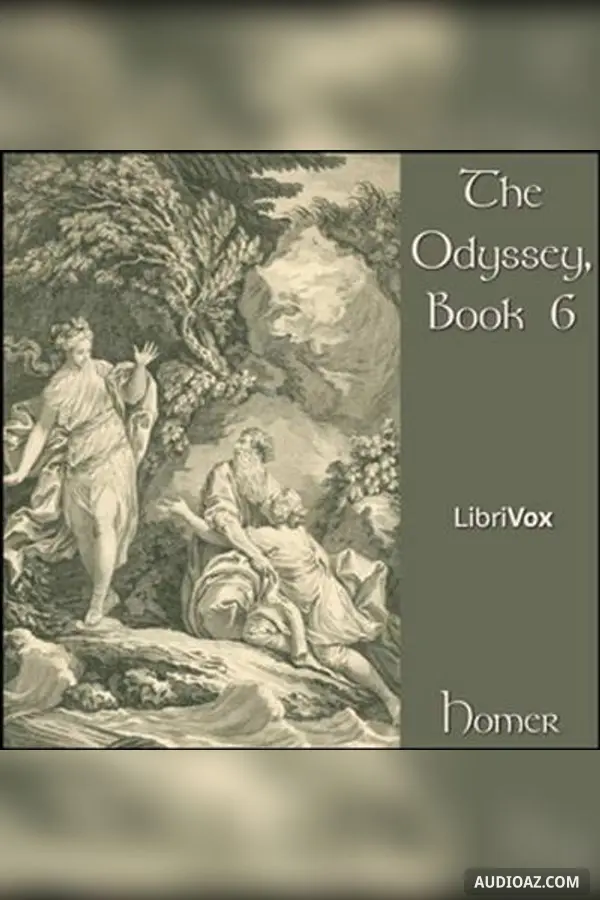 The Odyssey, Book 6
