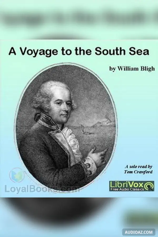 A Voyage to the South Sea