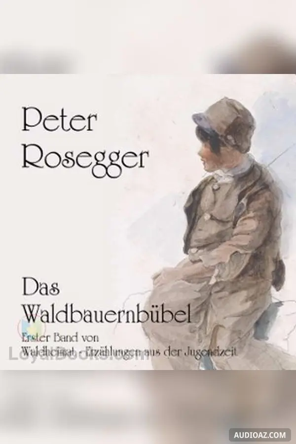Waldheimat. Erzählungen aus der Jugendzeit - Erster Band: Das Waldbauernbübel