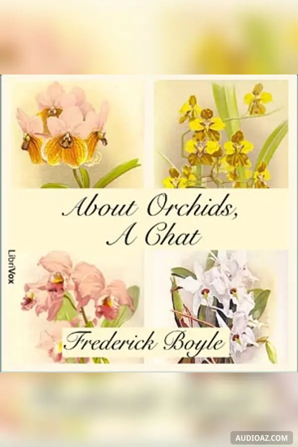 About Orchids, a Chat