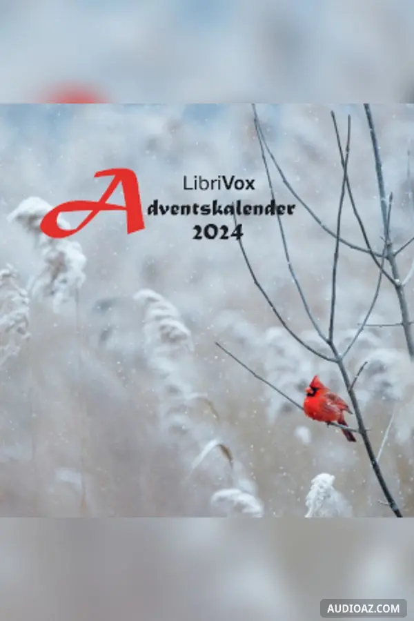 Adventskalender 2024