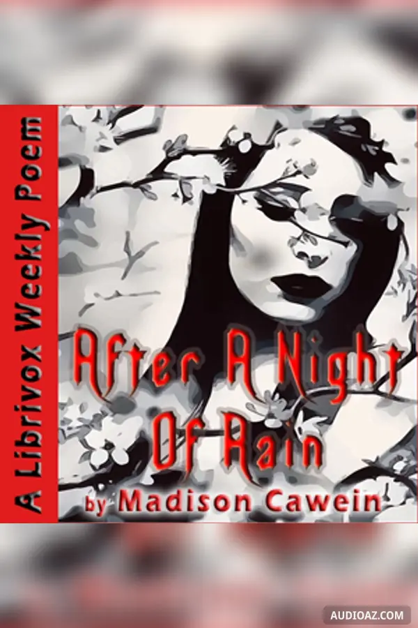 After A Night Of Rain