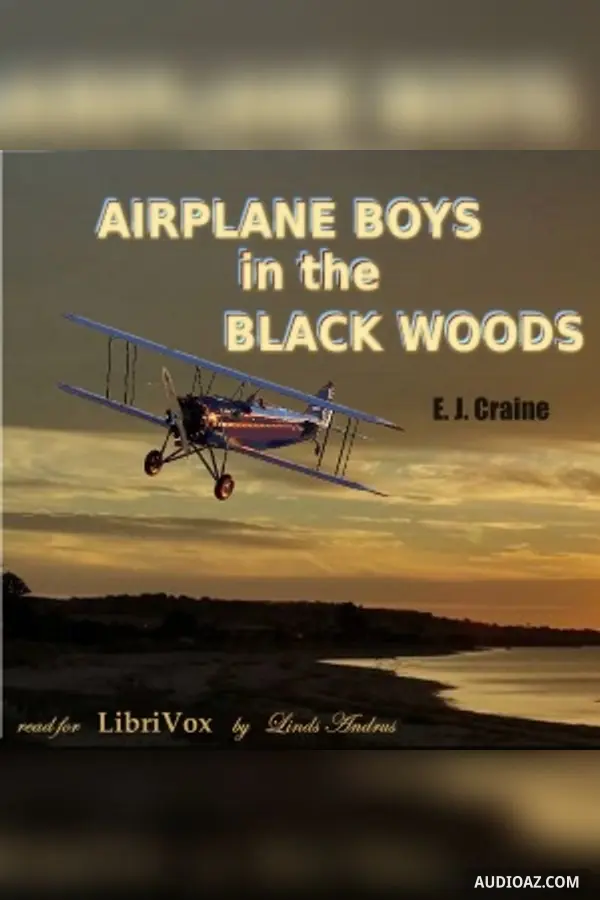 Airplane Boys in the Black Woods