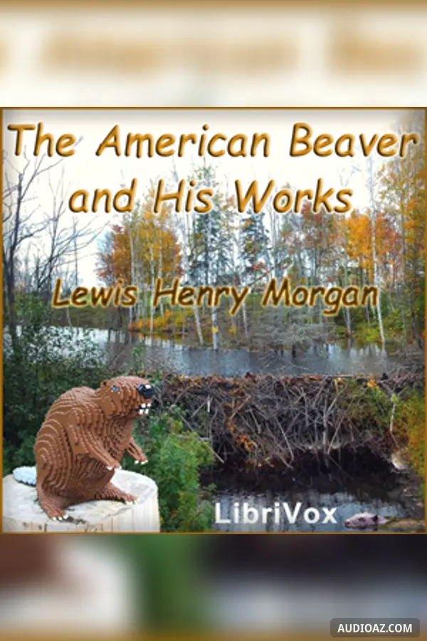 American Beaver and His Works