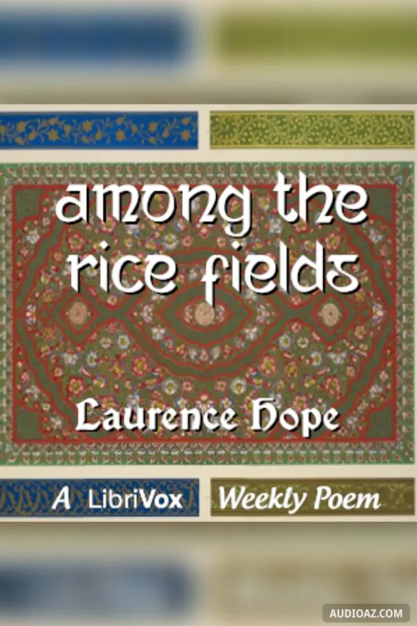 Among the Rice Fields