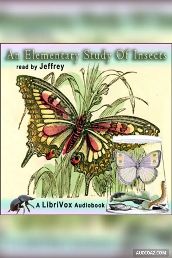 Elementary Study of Insects