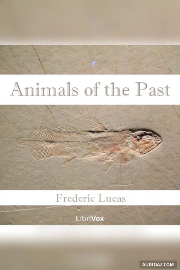Animals of the Past
