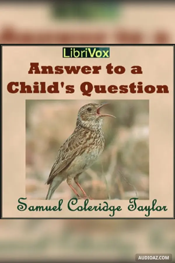 Answer to a Child's Question