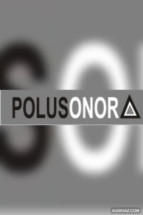 211015 POLUCION SONORA