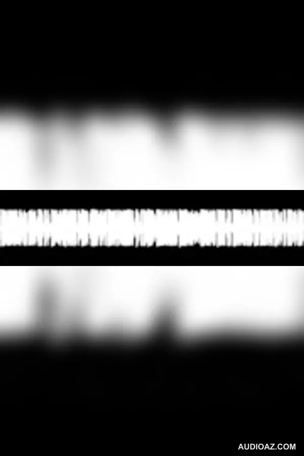 REUNIÓ N FARCO AFSCA Mariela Pugliese 01