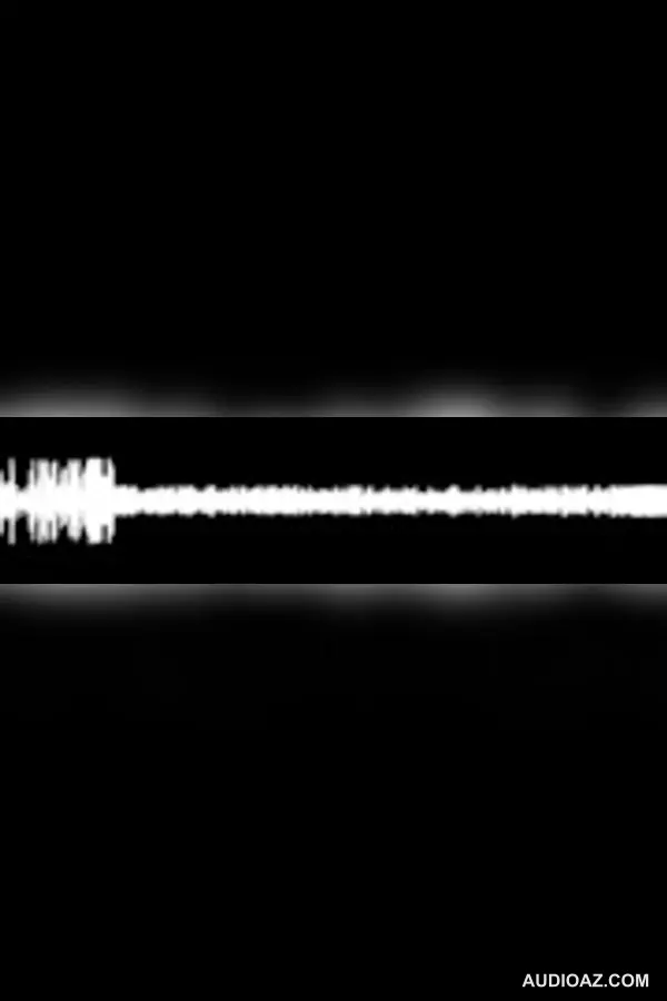 Rachel Pendergraft WHITE POWER speech 9/6/09 Knights Party National Congress