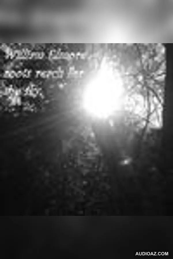 william elmore - roots reach for the sky