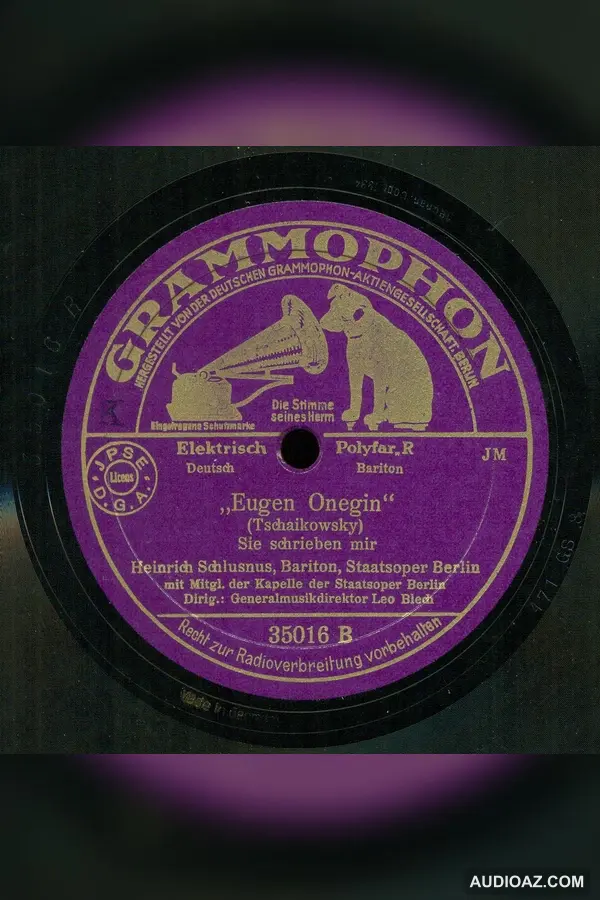 Eugen Onegin: Sie schrieben mir