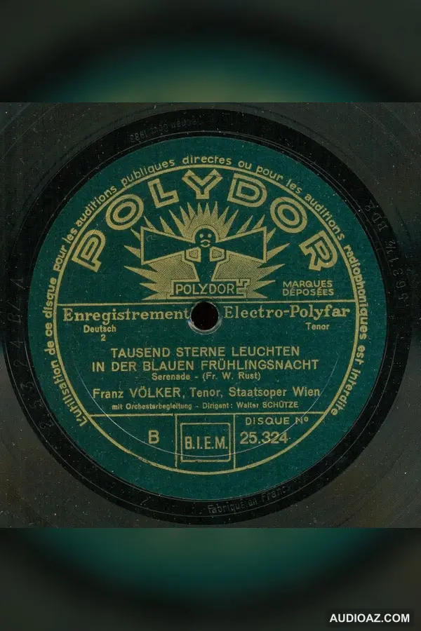 Tausend Sterne leuchten in der blauen Frühlingsnacht