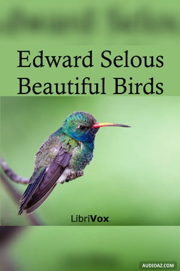 Beautiful Birds
