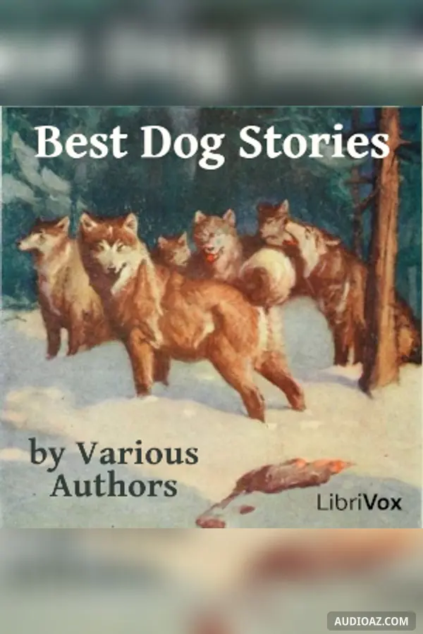 Best Dog Stories