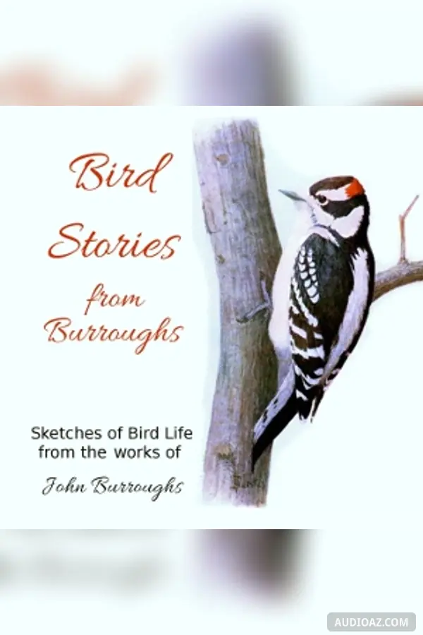 Bird Stories from Burroughs