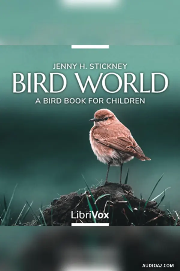 Bird World: A Bird Book for Children