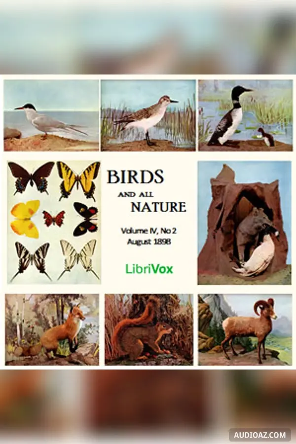 Birds and All Nature, Vol. IV, No 2, August 1898