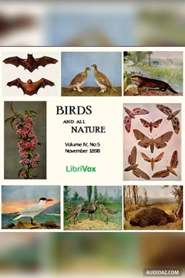 Birds and All Nature, Vol. IV, No 5, November 1898