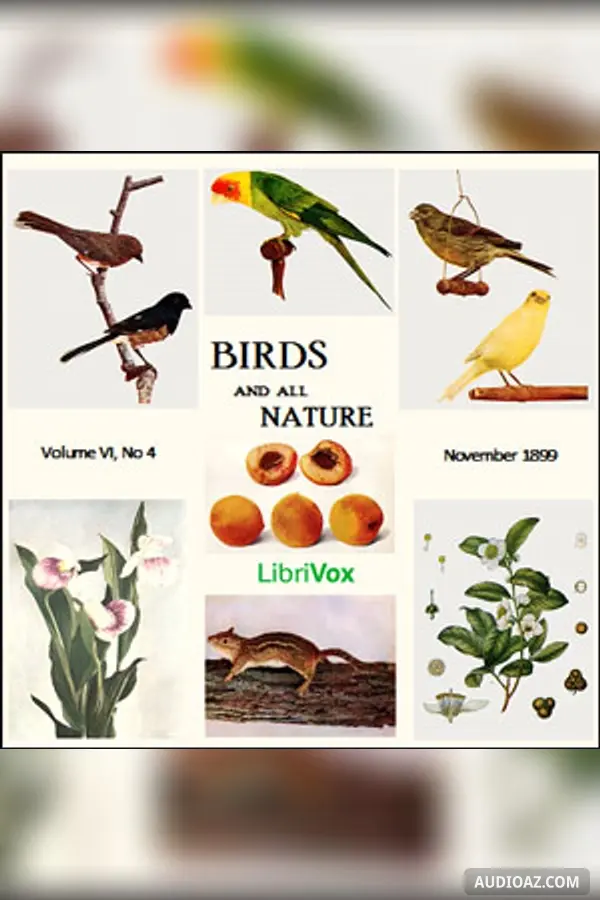 Birds and All Nature, Vol. VI, No 4, November 1899
