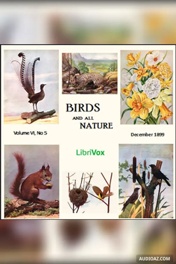Birds and All Nature, Vol. VI, No 5, December 1899