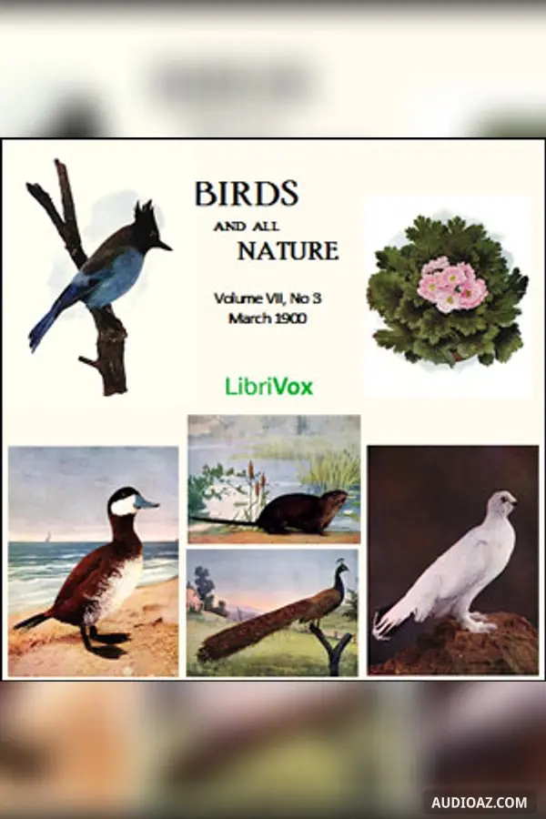 Birds and All Nature, Vol. VII, No 3, March 1900