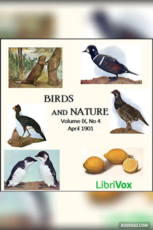 Birds and Nature, Vol. IX, No 4, April 1901