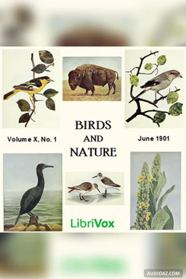 Birds and Nature, Vol. X, No 1, June 1901
