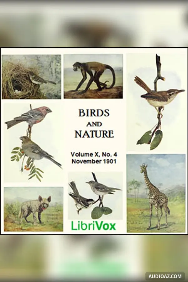 Birds and Nature, Vol. X, No 4, November 1901