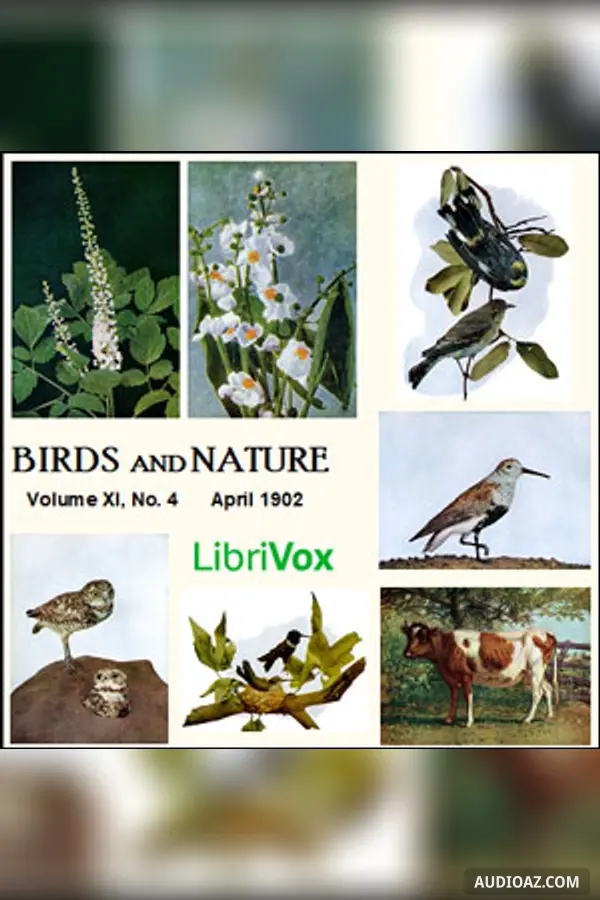 Birds and Nature, Vol. XI, No 4, April 1902