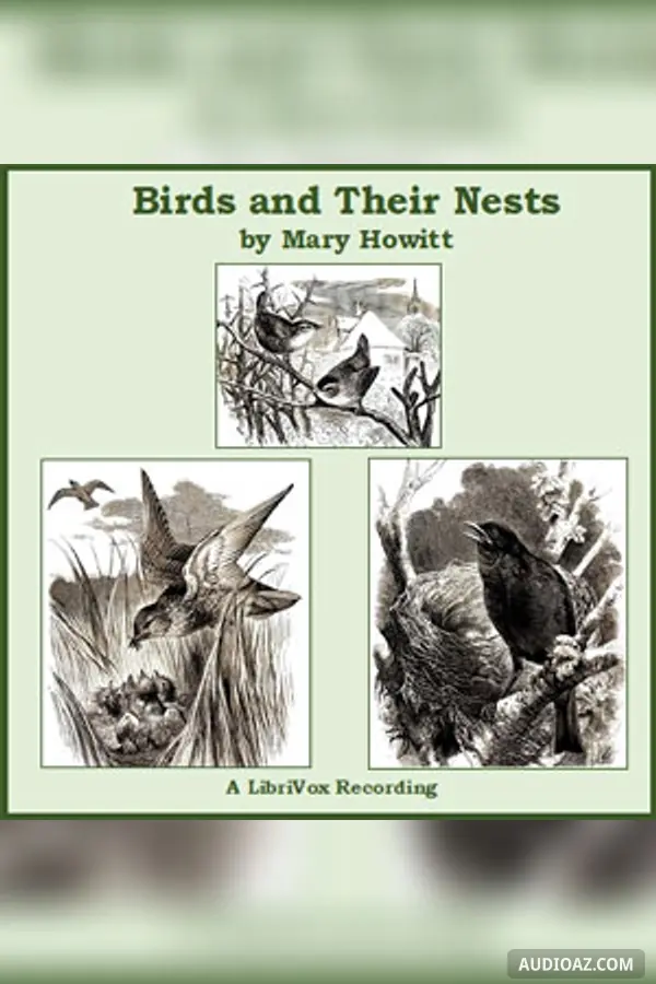 Birds and Their Nests