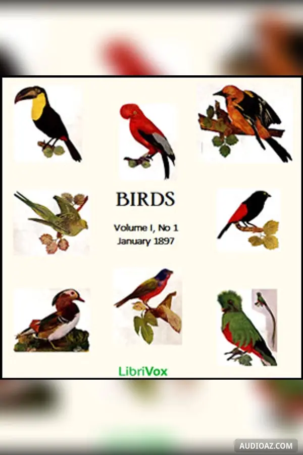 Birds, Vol. I, No 1, January 1897